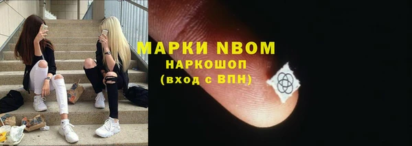 стаф Алзамай