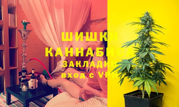 стаф Алзамай