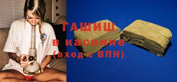 стаф Алзамай