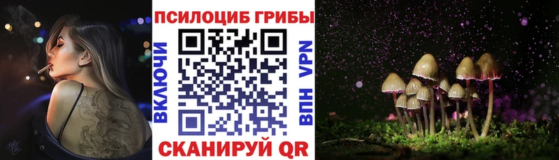 как найти Протвино Псилоцибиновые грибы прущие грибы