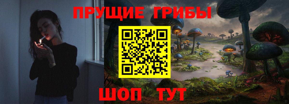 Псилоцибиновые грибы MAGIC MUSHROOMS  Вход с VPN  Псилоцибиновые грибы MAGIC MUSHROOMS  Протвино 